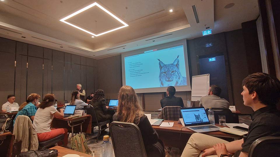 Регионална стратегија за заштита на балканскиот рис