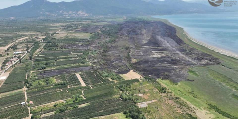 Од огнена стихија загрозен Пaркот на природата Езерани